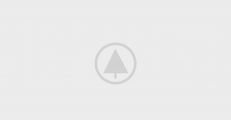 wood-gallery-placeholder-5